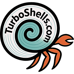 Turbo Shells